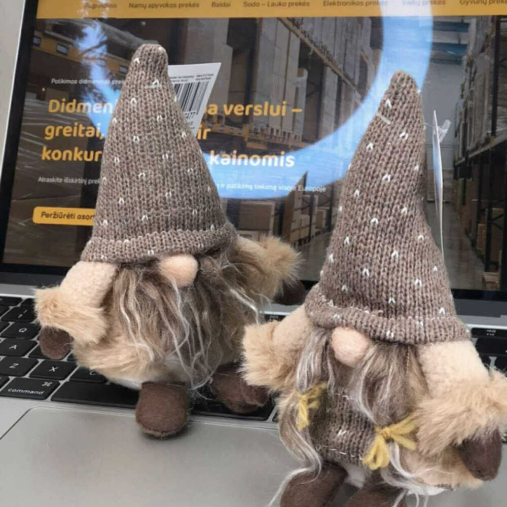 Kalėdinis nykštukas (mix 2 modeliai)