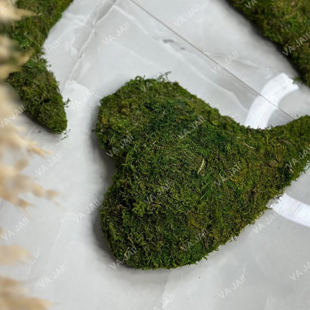 Dekoratyvinė širdis iš samanų „MossHeart“