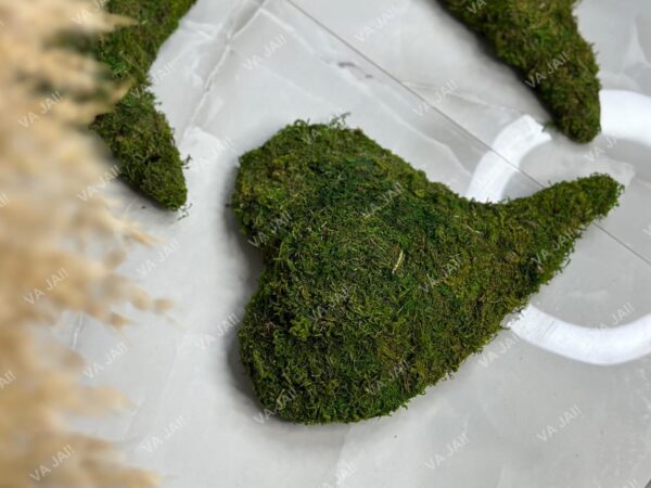 Dekoratyvinė širdis iš samanų „MossHeart“