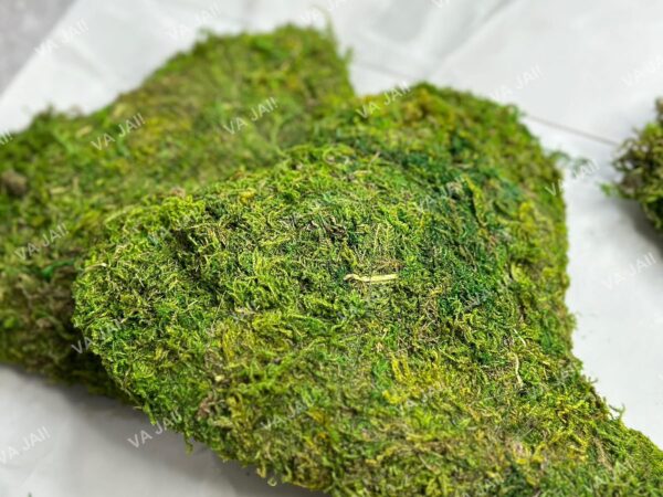 Dekoratyvinė širdis iš samanų „MossHeart“