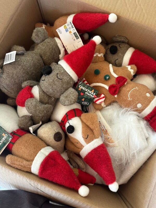 IMG_5148 Kalėdinių prekių mix paletė