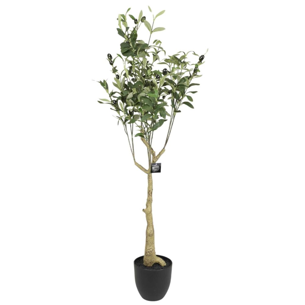 Dirbtinis alyvmedis vazonėlyje „Olijf“ 110cm