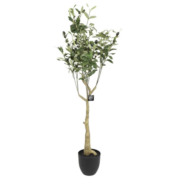 Dirbtinis alyvmedis vazonėlyje „Olijf“ 110cm